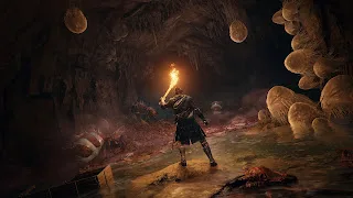 ELDEN RING DELUXE EDITION screenshot 3